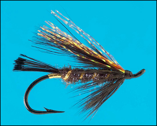 Black Rogue Fly