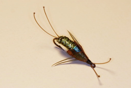 Joe Ayre Stonefly 2