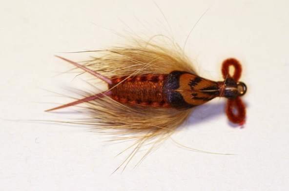 Joe Ayre Dragon Fly Nymph