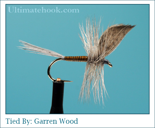 Blue Quill Fly