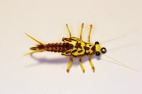 Kent Bulfinch Stonefly 2