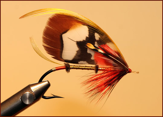 Feather Wing